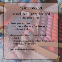 Load image into Gallery viewer, Yarn &amp; Book - &#39;Ayumi&#39; Sock Set - pre-order