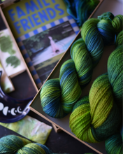 Load image into Gallery viewer, Yarn &amp; Book 1 - 'Family Friends' - pre-order