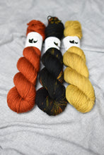 Load image into Gallery viewer, DK Superwash Merino - Ready to Ship