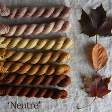 Load image into Gallery viewer, READY TO SHIP - October 2023 - Colour Set &#39;Neutre&#39;