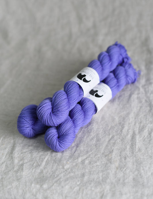 Viola