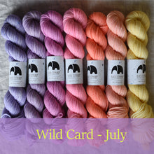 Load image into Gallery viewer, READY TO SHIP - July 2023 - Colour Set &#39;Wild Card&#39;