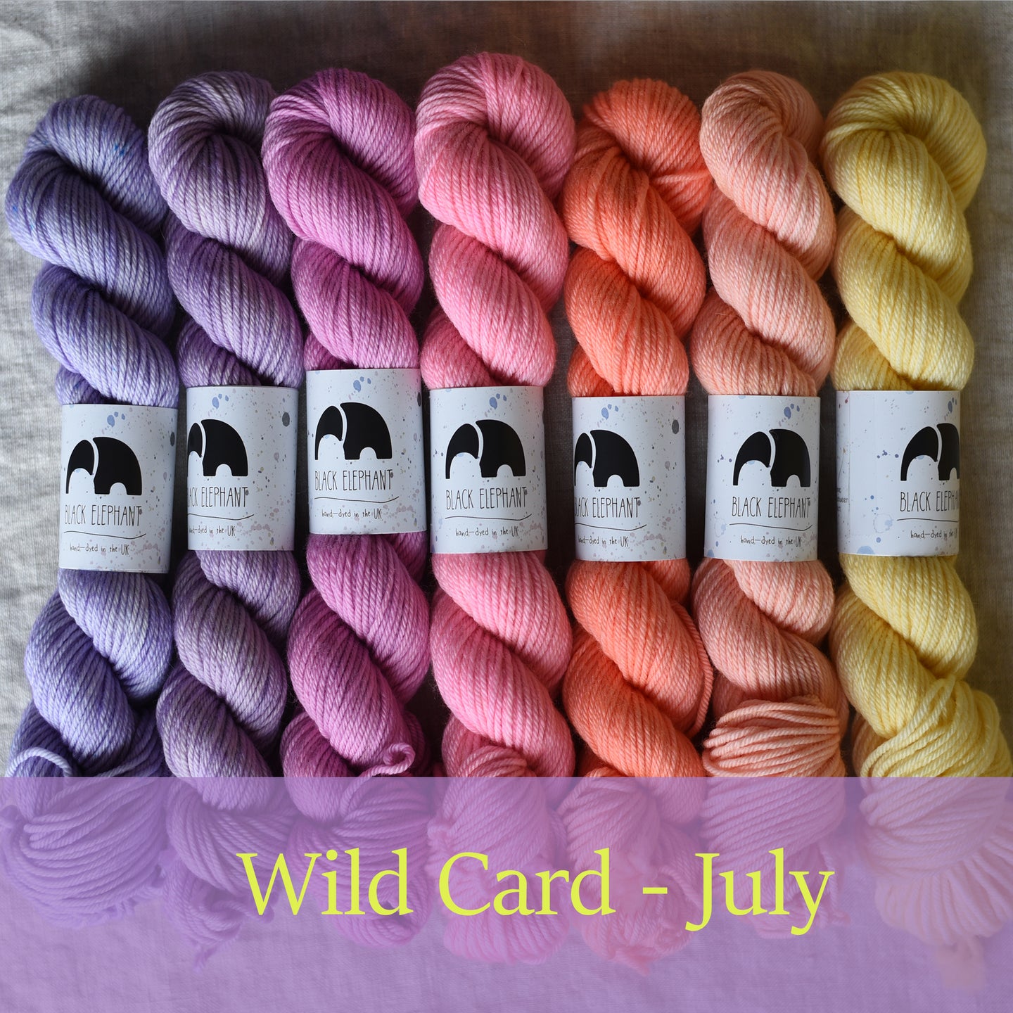 READY TO SHIP - July 2023 - Colour Set 'Wild Card'