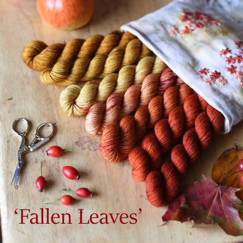 READY TO SHIP - October 2023 - Colour Set 'Fallen Leaves'
