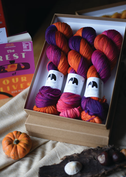 Yarn & Book 2 - 'The Rest of our Lives' main colourway  - pre-order