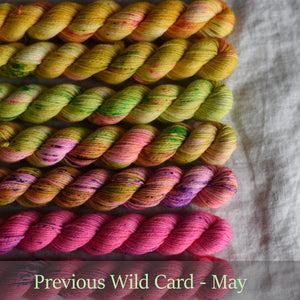 June 2023 - Colour Set 'Wild Card' - PREORDER