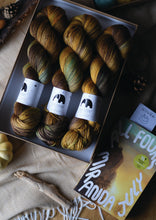 Load image into Gallery viewer, Yarn &amp; Book 3 - &#39;All Fours&#39; main colourway  - pre-order