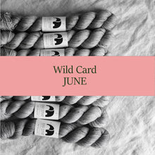 Load image into Gallery viewer, June 2023 - Colour Set &#39;Wild Card&#39; - PREORDER