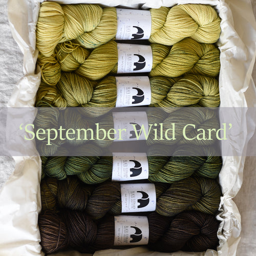 READY TO SHIP - September 2023 - Colour Set 'Wild Card'